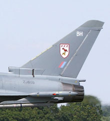 29 Sqn fin marks