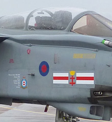 41 Sqn markings