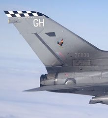 43 Sqn markings